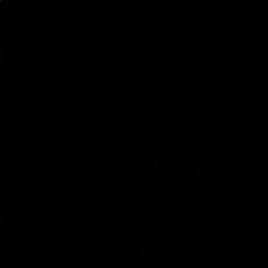 Meet your Posher, Braden